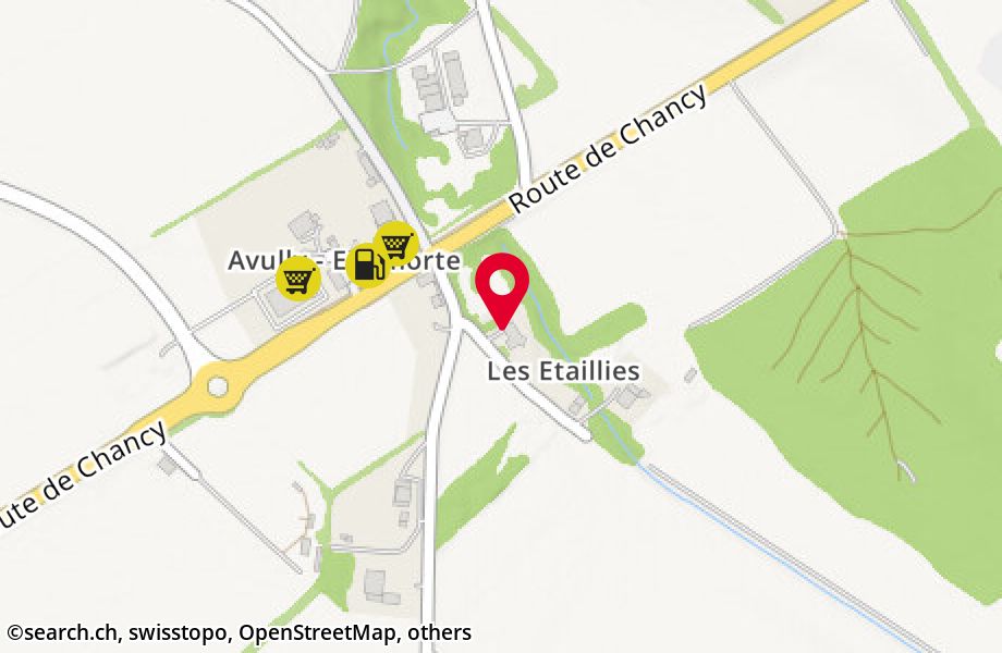 Chemin des Etaillies 58, 1236 Cartigny