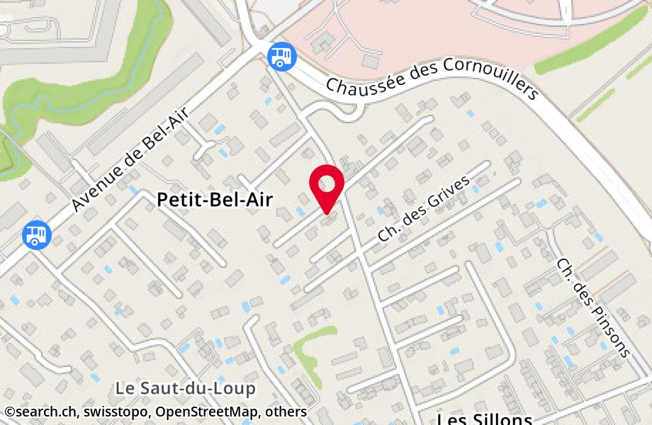 Chemin du Petit-Bel-Air 49, 1225 Chêne-Bourg