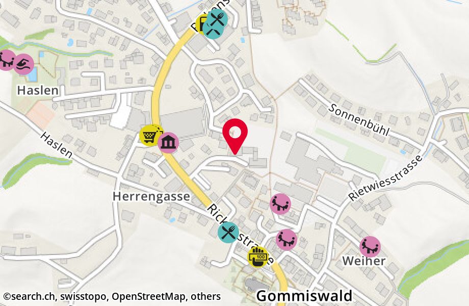 Frohsinnweg 5, 8737 Gommiswald
