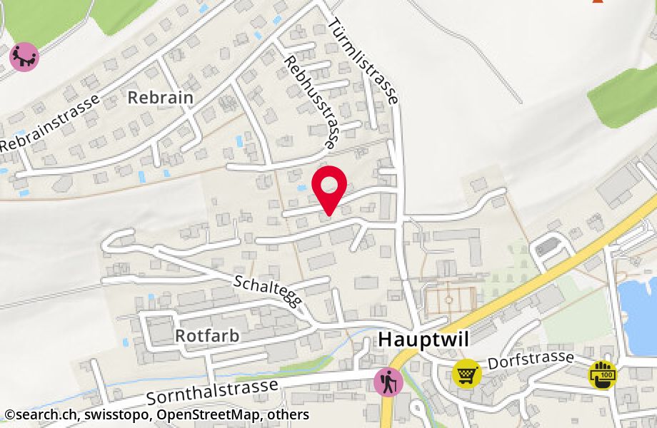 Mittlere Huswisstrasse 6, 9213 Hauptwil