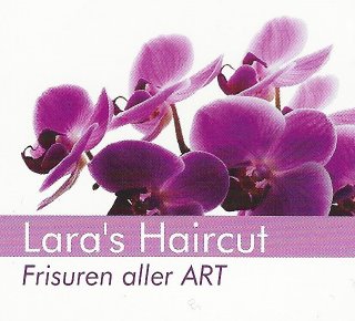 Lara's Haircut