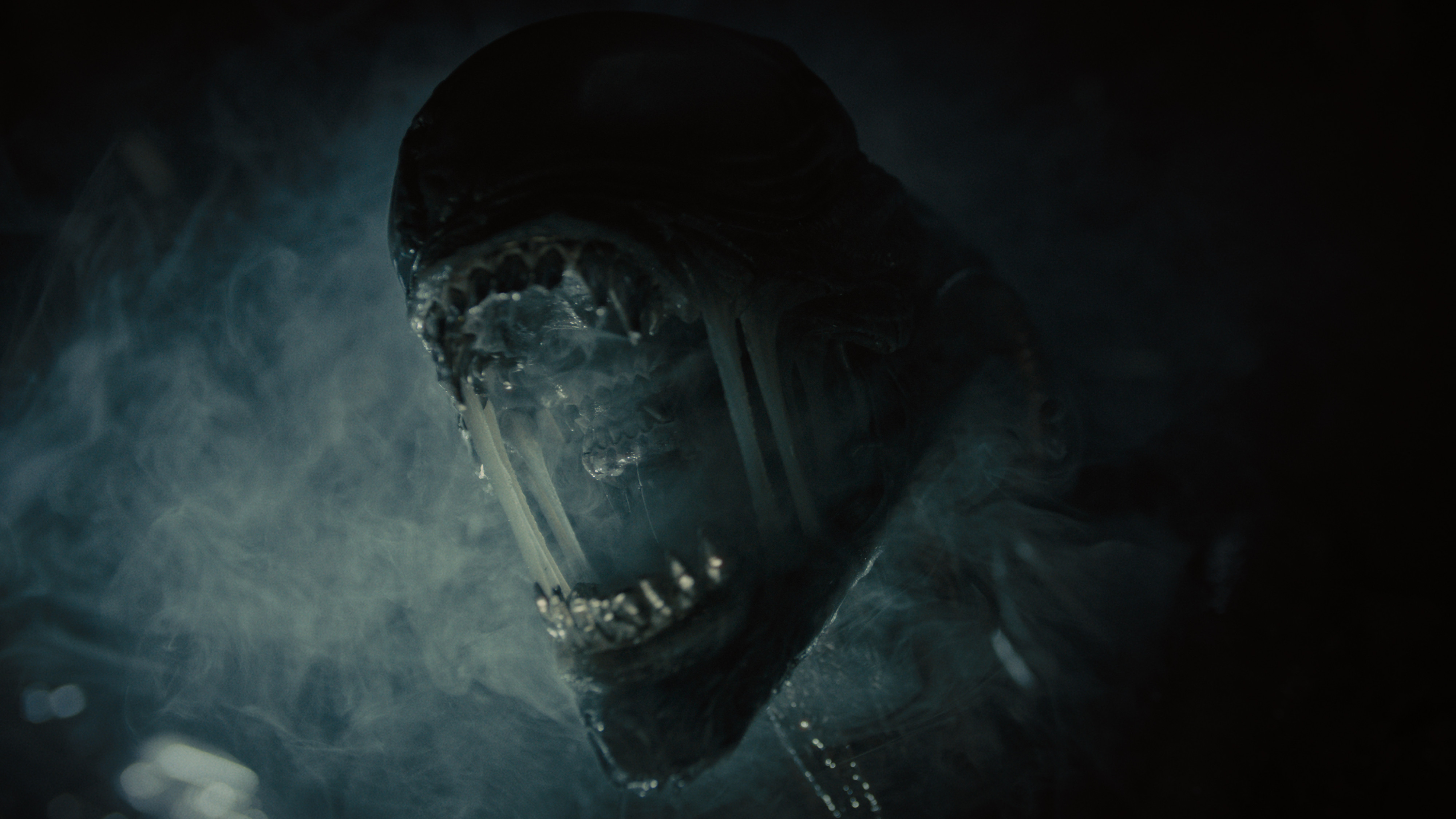 Actualité cinéma: Alien: Romulus, aujourd'hui à Obbürgen et voisinage