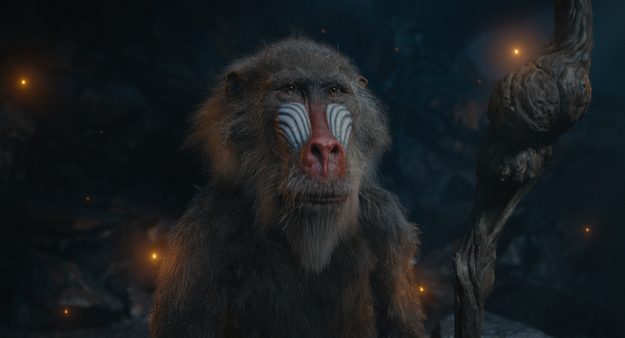 Actualité cinéma Mufasa The Lion King, aujourd'hui à Teningen et