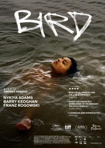 Poster "Bird"
