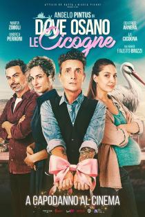 Poster "Dove osano le cicogne"