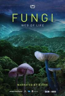Poster "Fungi: The Web of Life"