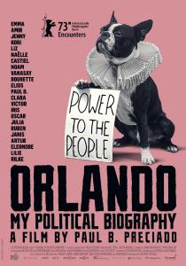 Poster "Orlando, ma biographie politique"