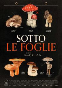 Poster "Quand vient l'automne"