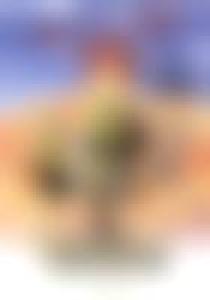 Poster "Shrek (2001)"