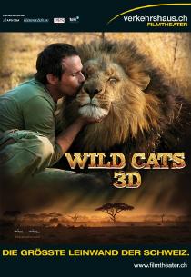Poster "Wild Cats"