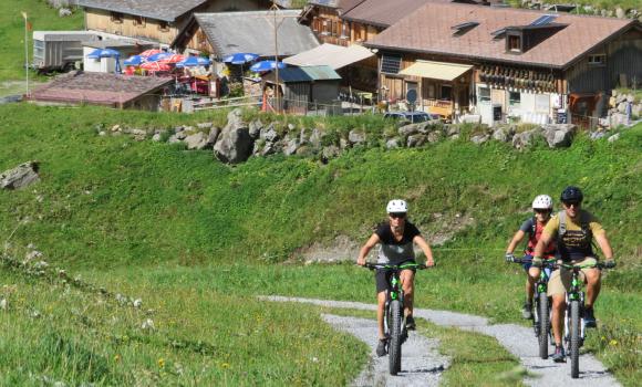 Bild 2