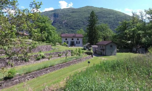 Bild 8
