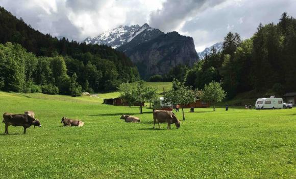 Bild 9