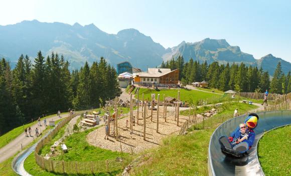 Bild 2
