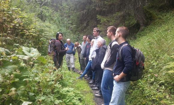 Bild 3