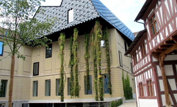 Bild 5
