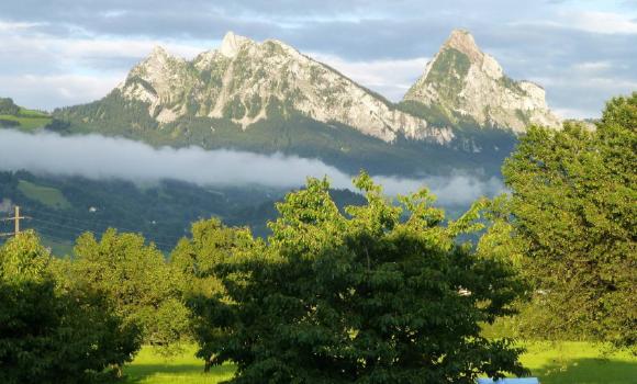 Bild 11