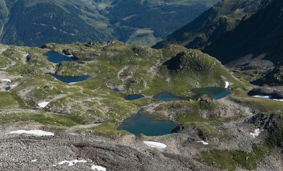 Perle im Schweizerischen Nationalpark