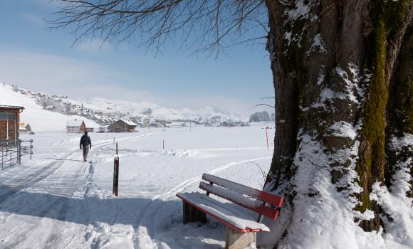 Gontenmoos-Winterwanderweg