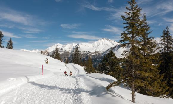 Panoramaweg Gadastatt–Zervreila