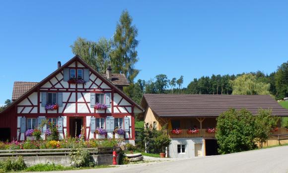 Zu Tisch am Bodensee