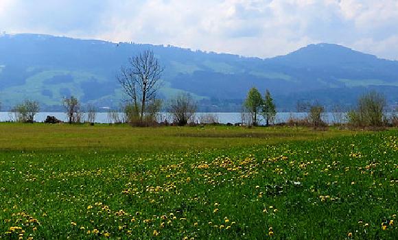 Obersee-Uferweg