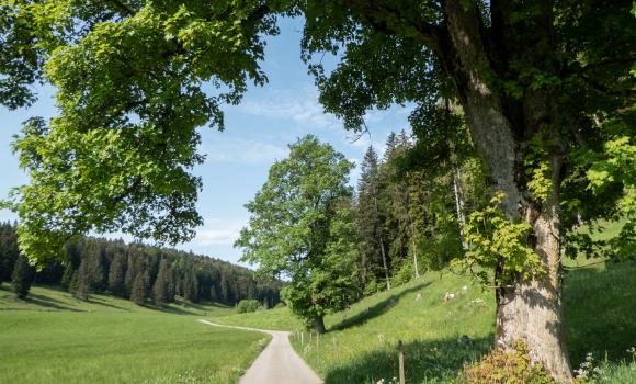 Arc jurassien, Etappe 3/4