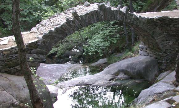 Brücken im Parkgebiet