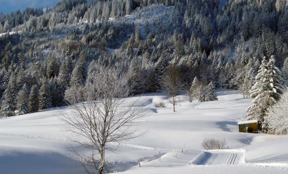 St.-Margrethenberg-Loipe