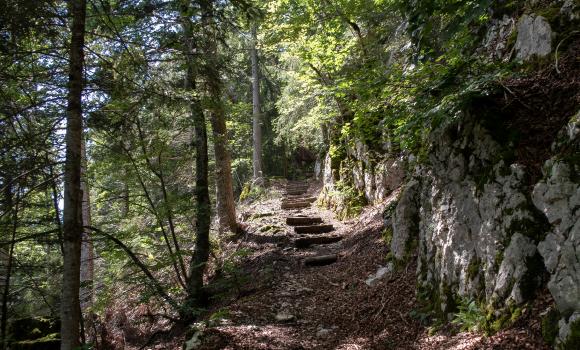 ViaBerna, Etappe 2/20
