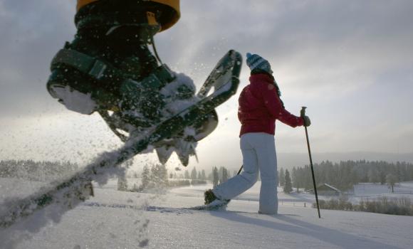 Parcours Saignelégier–Etang des Royes