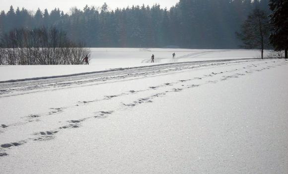 Loipe Herlisberg-Römerswil