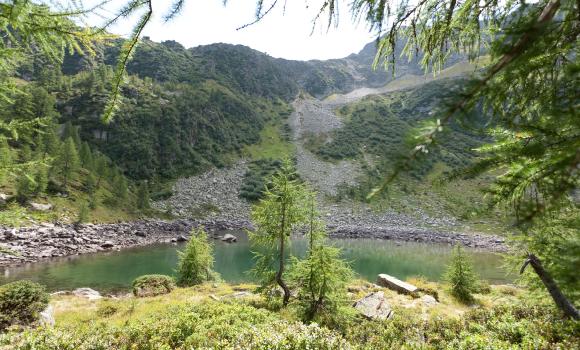 Bild 14