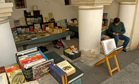 Bild 7