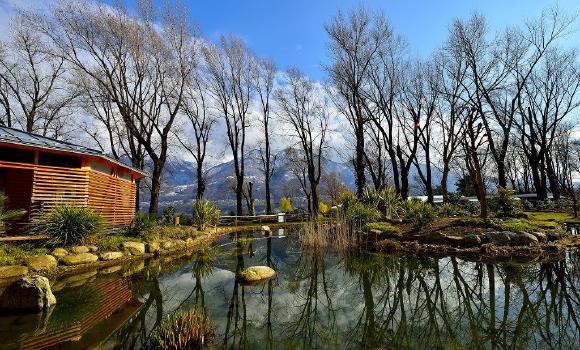 Bild 11