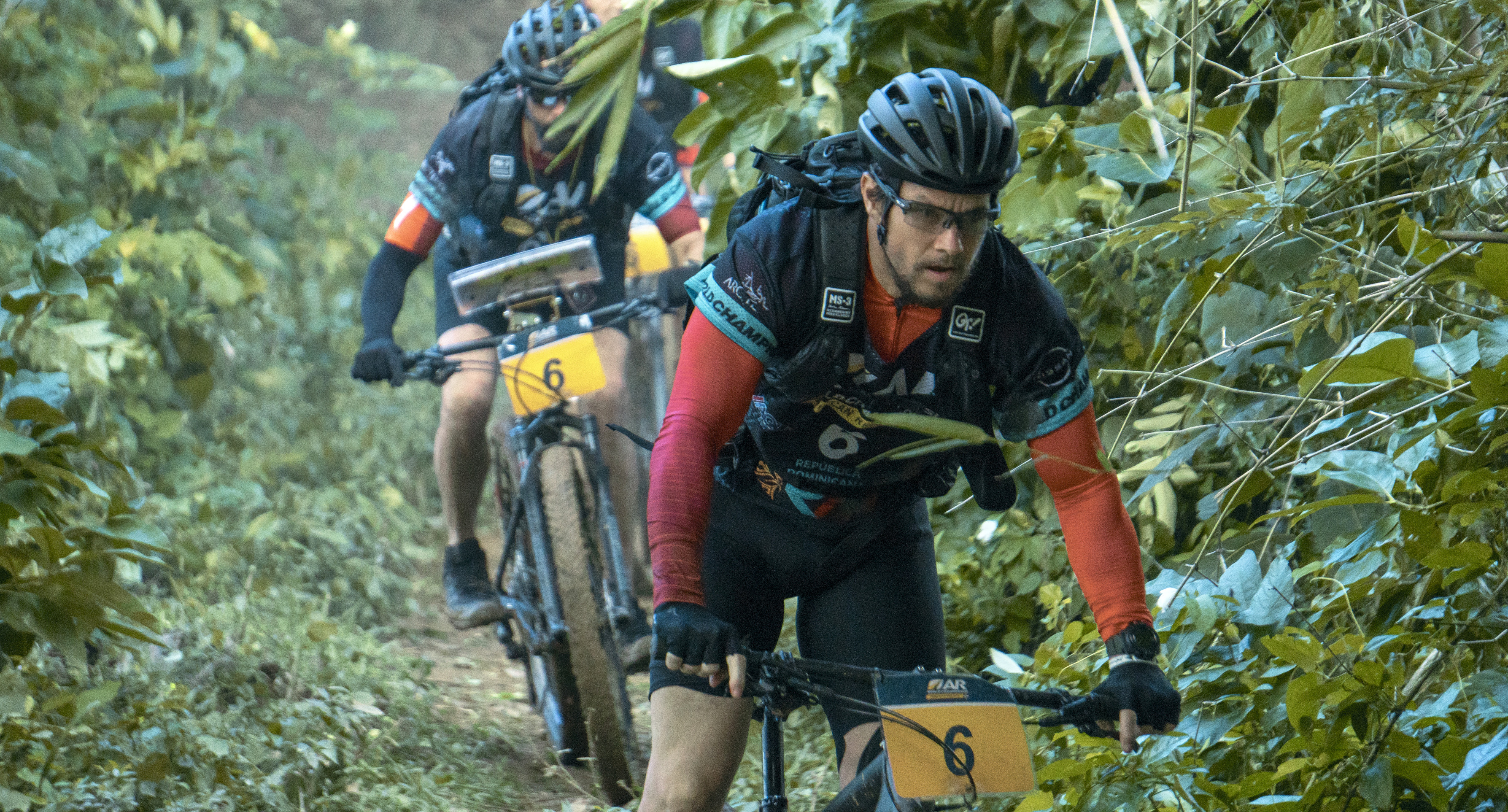 Kinoprogramm Arthur the King, heute in Rheinfelden AG und Umgebung search.ch