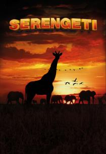 Poster "Serengeti (2021)"