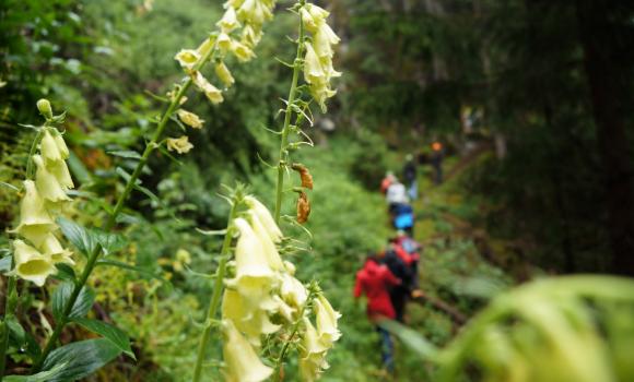 «Puntins Ots Uina» adventure and culture trail