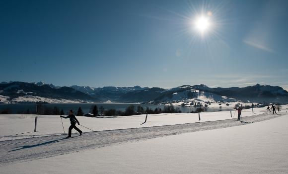 Einsiedeln cross-country skiing arena