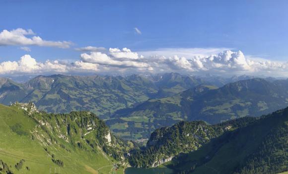 Image 11