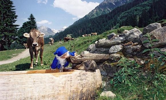 Themed hiking tours and educational trails in Klosters