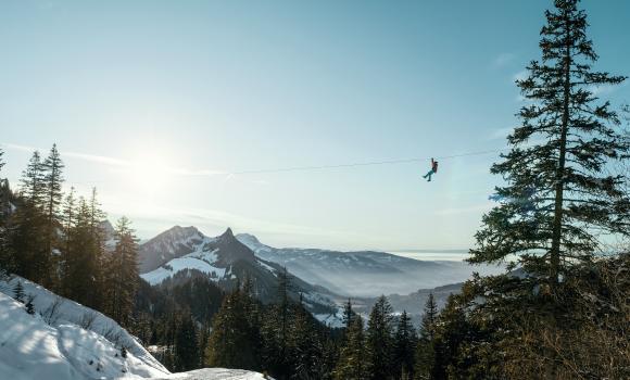 The valley of the zip lines