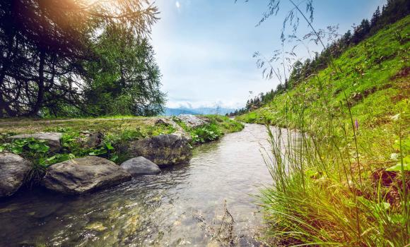 Hike along the bisses