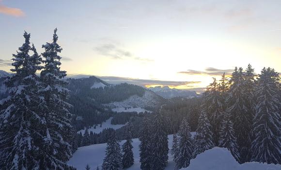 Up on snow-shoes – down by bob