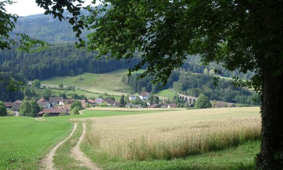 Chemin de Raimeux