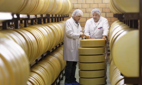 Visit to Sbrinz cheese cellar