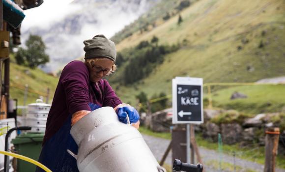 Engelberg Alpkäse (Alpine Cheese) Trail