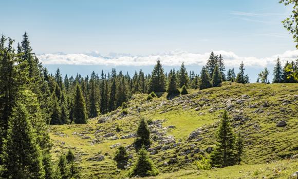 Jura Crest Trail, Stage 14/16