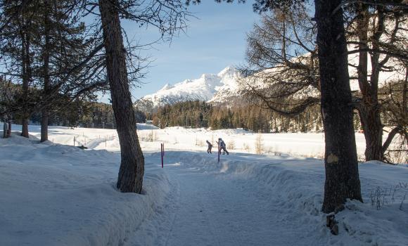 St. Moritz-Maloja-Seenweg
