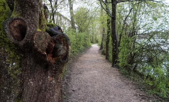 Solothurner Uferweg